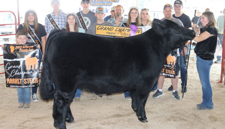 Grand Champion Steer