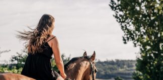 horseback riding