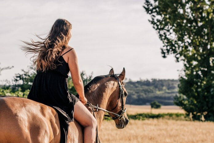 horseback riding horseback riding
