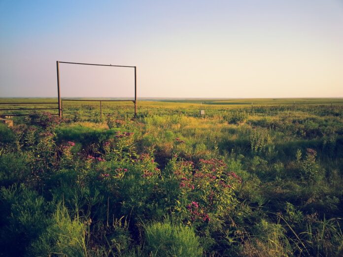kansas prairie kansas prairie