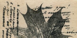 leaf print