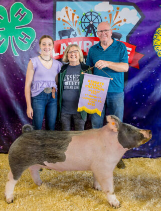 Reserve Champion Hog