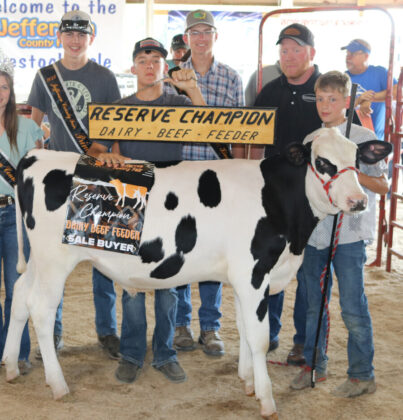 Reserve Champion Dairy Beef Feeder