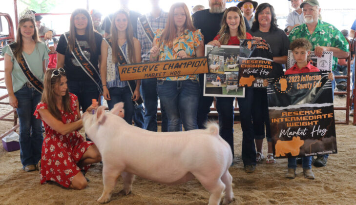 Reserve Champion Hog