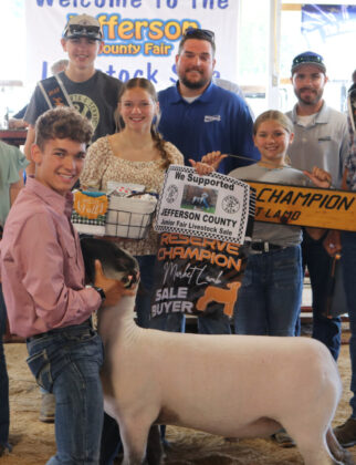 Reserve Champion Lamb