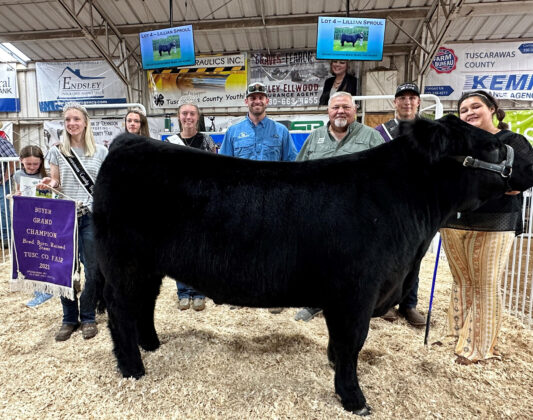 Grand Champion Bred, Born and Rasied Steer