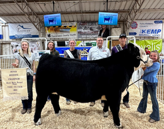 Reserve Champion Bred, Born and Raised Steer