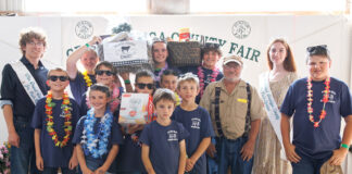 Auburn Dairymen's dairy basket