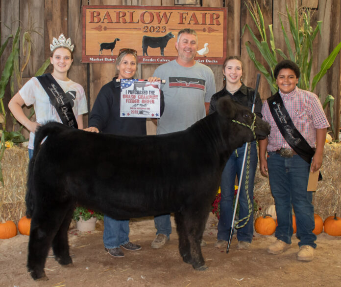 Grand Heifer