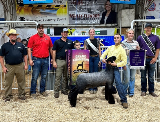 Grand Champion Lamb