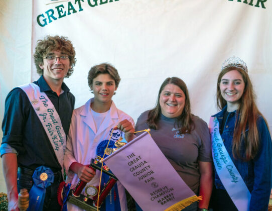 Reserve Champion Market Rabbit