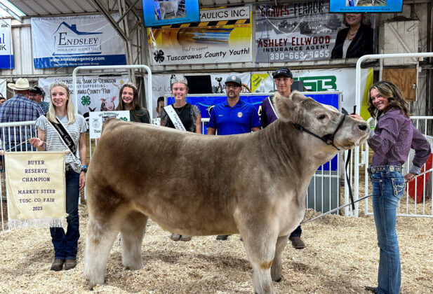 Reserve Champion Steer