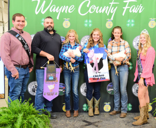 Reserve Champion Meat Chicken Pen