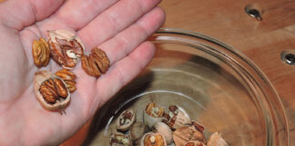 cracked nuts