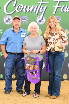 Grand Champion Dair Carcass Steer