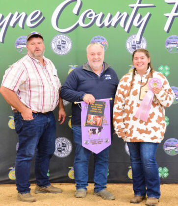 Reserve Champion Dair Carcass Steer