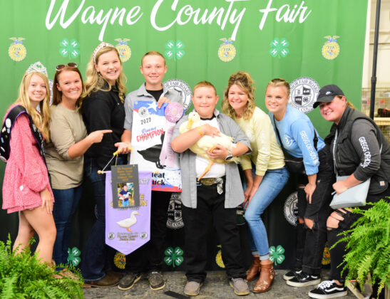 Reserve Champion Duck