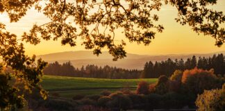 fall sunset