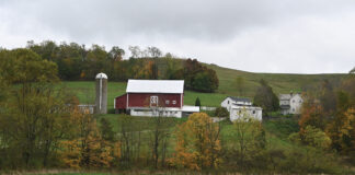 farm