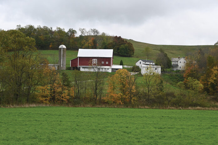 farm farm