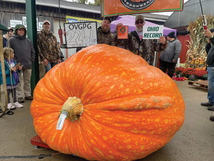 giant pumpkin 2023 giant pumpkin 2023