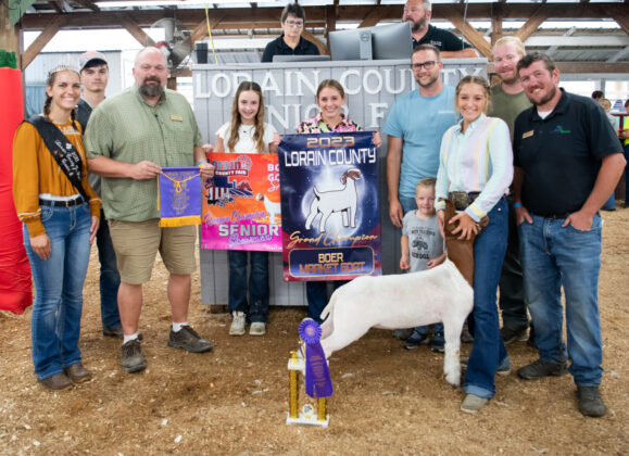 Grand Boer Goat