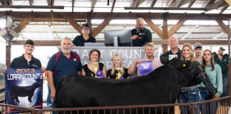 Grand Lottery Steer