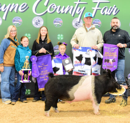 Grand Champion Hog