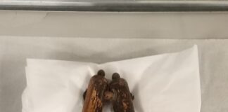 item 1258