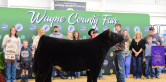 Grand Champion Market Beef