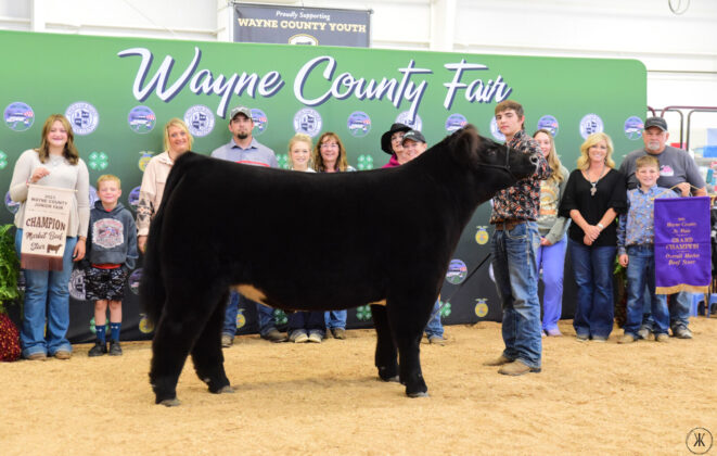 Grand Champion Market Beef