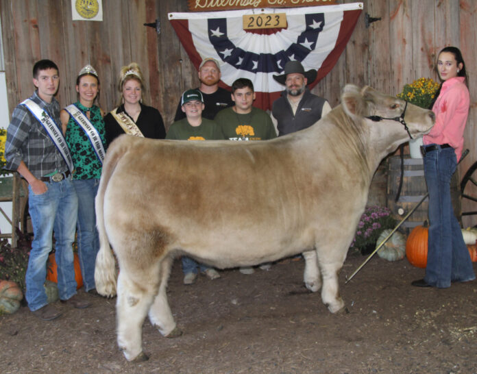 market beef grand paden
