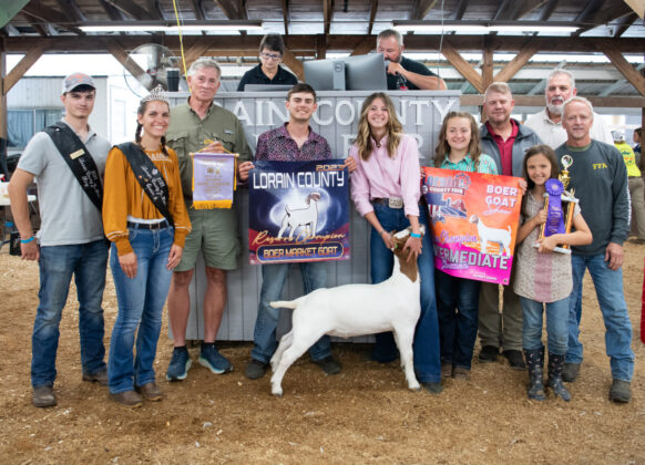Reserve Boer Goat