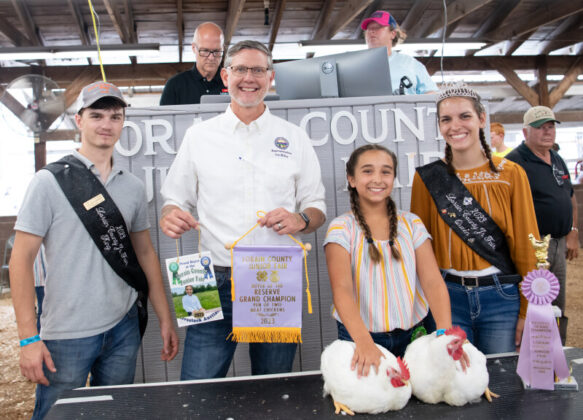 Reserve Chickens