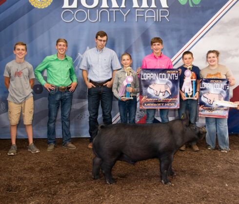 Reserve Hog