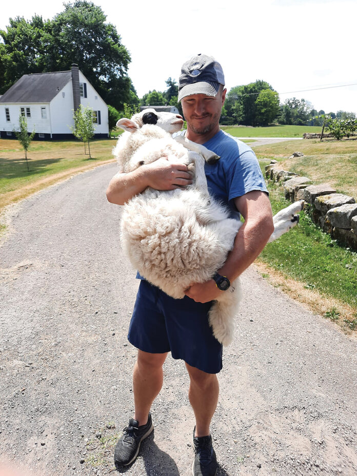 Eric Keller and a sheep Eric Keller and a sheep