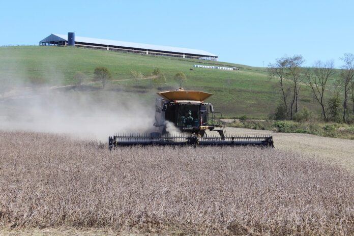 soybean harvest tusc county