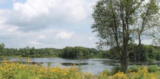 Trail Lake Park