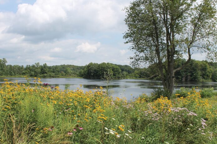 Trail Lake Park Trail Lake Park