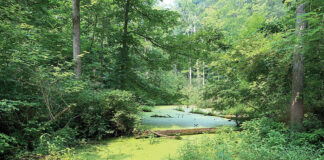 William “Bud” Hill Scenic River Access Area