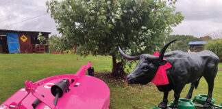 pink brush hog