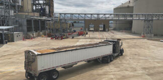 a tractor trailer full of soybeans drives at an angle into a soybean plant
