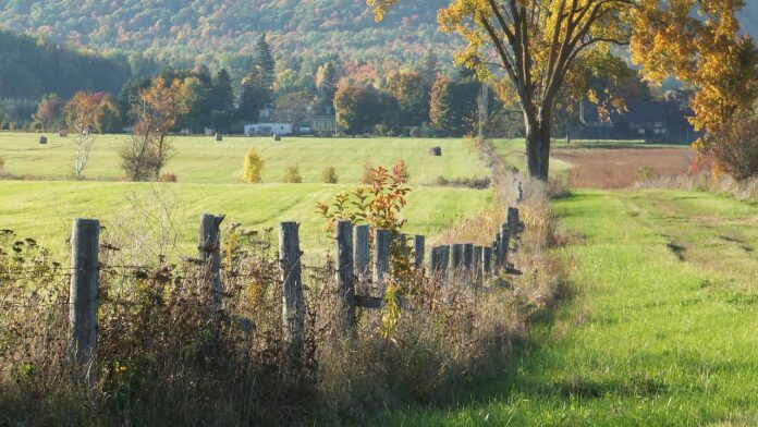 fence fence