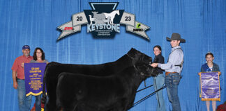 Grand champion cow-calf pair