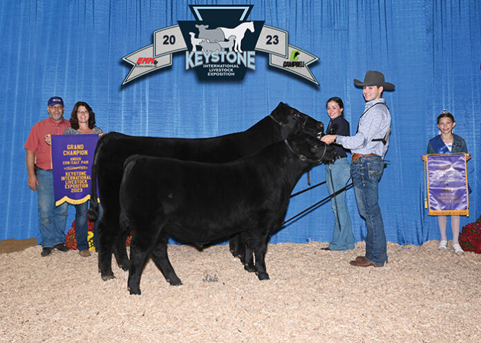 Grand champion cow-calf pair
