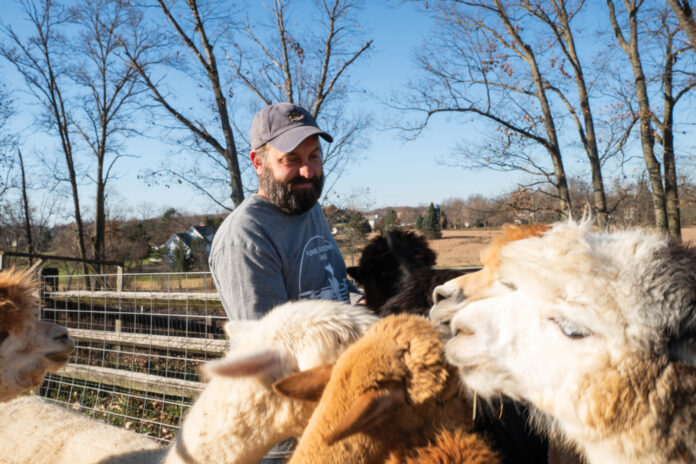 love alpacas