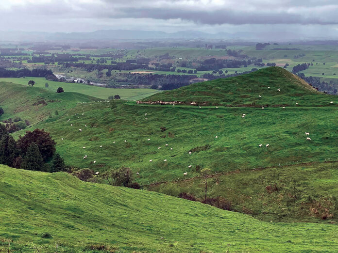 New Zealand New Zealand