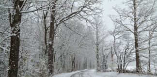 snowy road