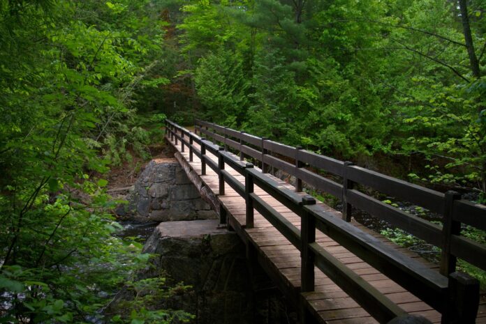 trail trail