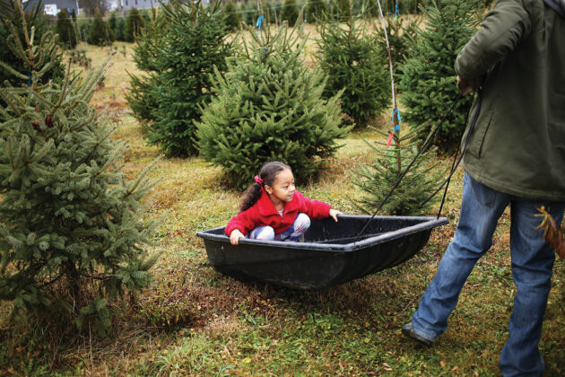 Pioneer Trails Tree Farm